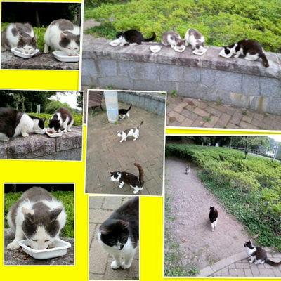 ６月１日