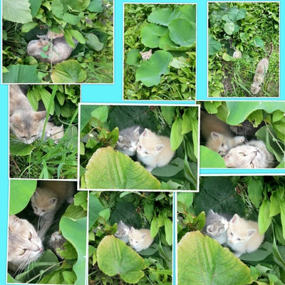 ６月２日