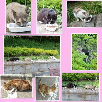 ６月３日