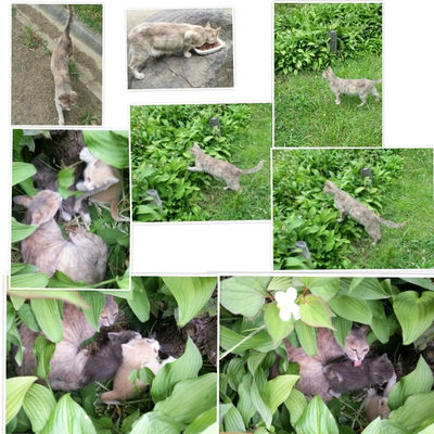６月７日