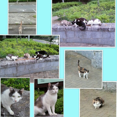 ６月１０日　夕方