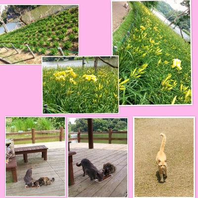 ６月１８日