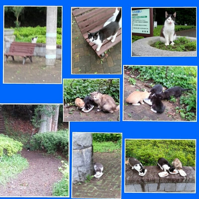 ６月２０日