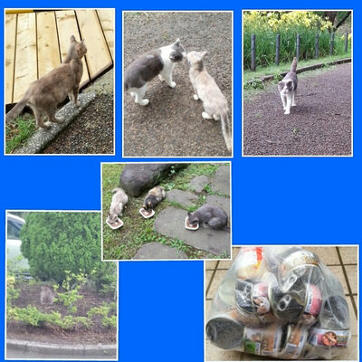 ６月２０日