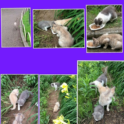 ６月２１日