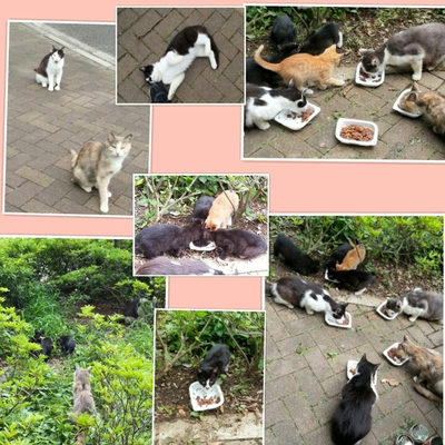 ７月１日