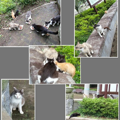 ７月５日