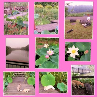 ７月３０日