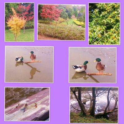 １１月２日