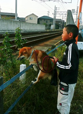 孫とタロー！