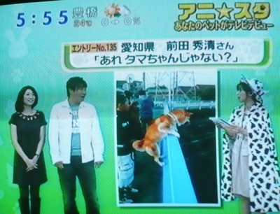 ズームインサタデーに登場！