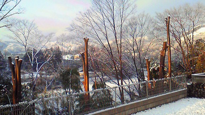 22.2.2  雪化粧