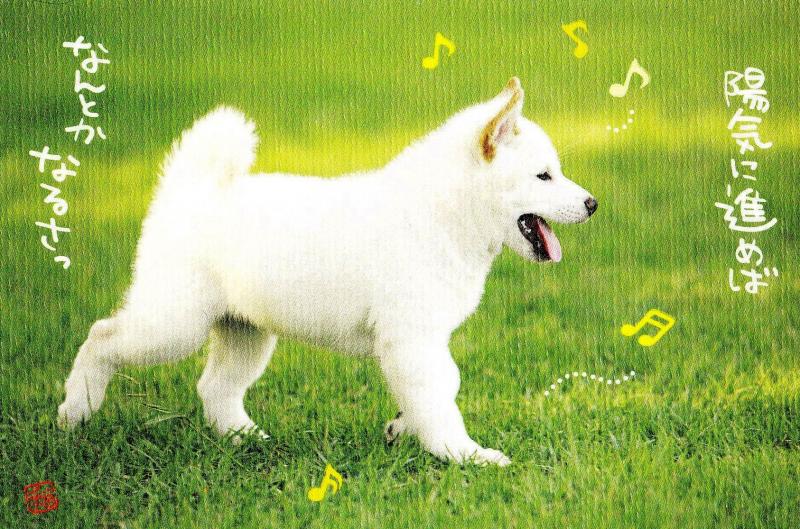 もし、やらなかったらどうなるだろう？