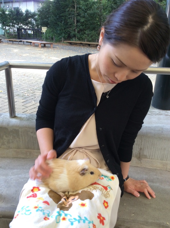 26さい。