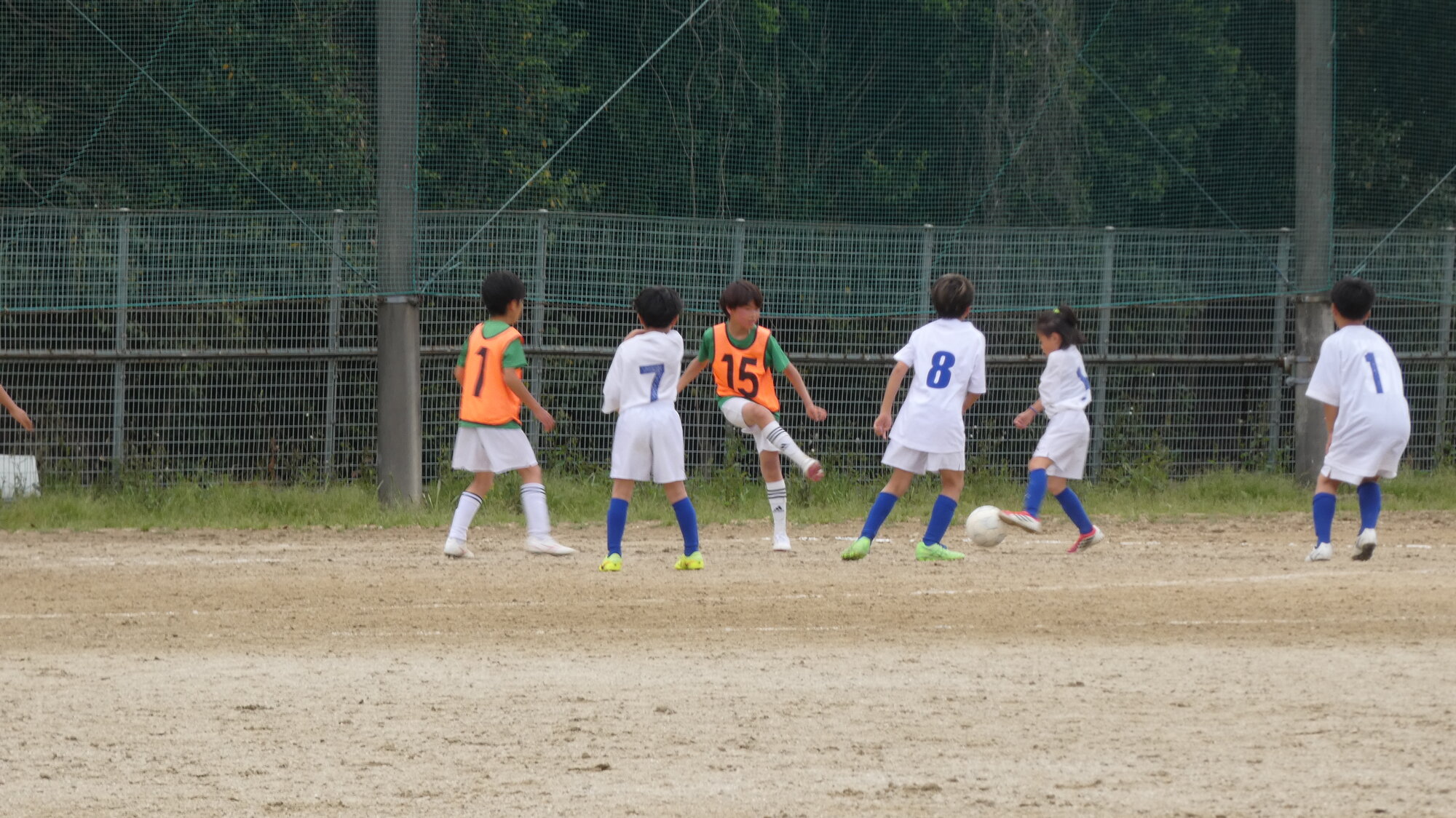 IMG_6795.jpeg