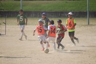 IMG_7876.jpeg