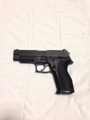 ＳＩＧ２２６Ｅ２