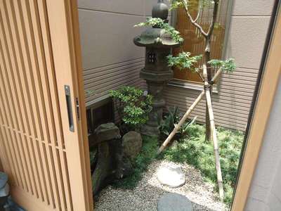 庭石