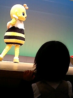 はちのブンブン　見てる