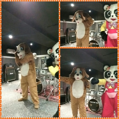 踊る会個人version☆ブルーアイわんちゃん